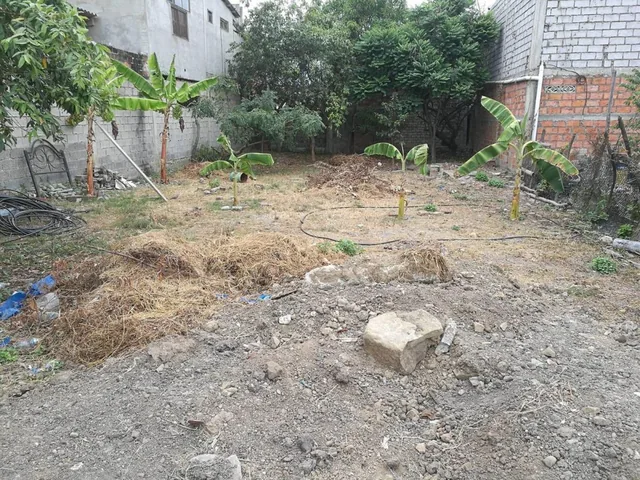 Venta Terreno Playas Villamil, Guayas — imagen 3
