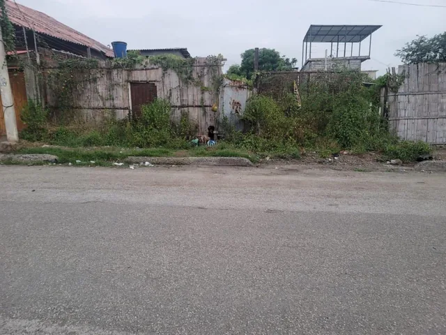 Venta Terreno Playas Villamil, Guayas — imagen 2