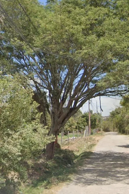 Vendo 13.600 Terreno Plano Sector Sta. Rosa (Ac) — imagen 3