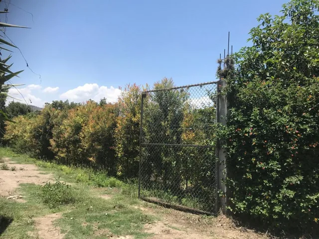 Vendo Terreno Plano - Sector Guayllabamba — imagen 2