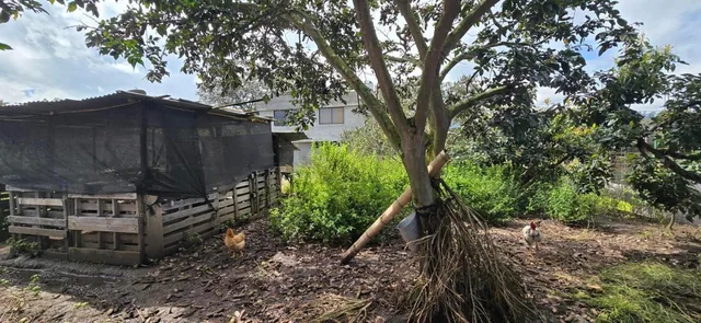 Se Vende Terreno en Tababela — imagen 4