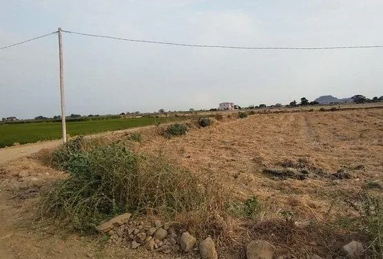 Terreno en Venta, Via Salitre, Guayas, Ecuador - C. Garcia, Guayas — imagen 5