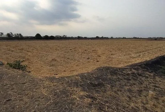 Terreno en Venta, Via Salitre, Guayas, Ecuador - C. Garcia, Guayas — imagen 3