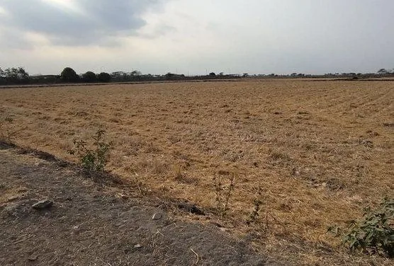 Terreno en Venta, Via Salitre, Guayas, Ecuador - C. Garcia, Guayas — imagen 2