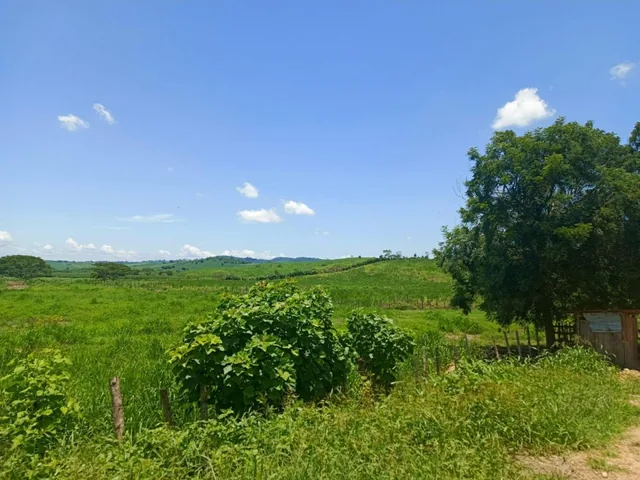 Propiedad de Venta 7.750 Has, Manabí — imagen 3