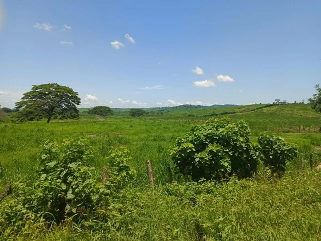 Propiedad de Venta 7.750 Has, Manabí — imagen 2