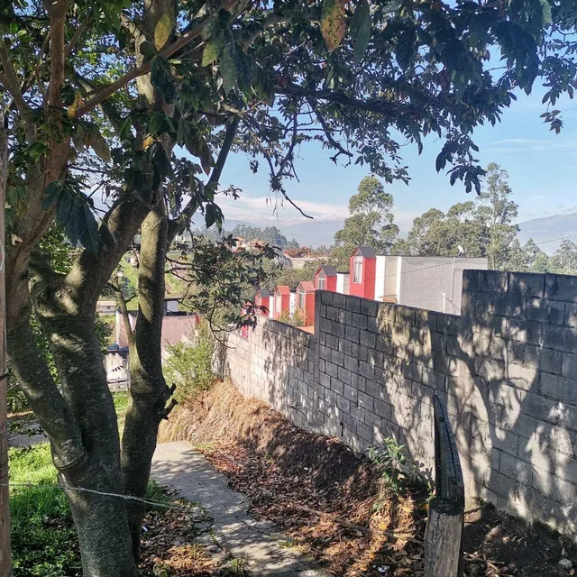 Terreno en Venta Residencial Centro Alangasí 3757 m — imagen 4