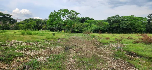 Terreno Comercial en Venta Via a La Costa - F. Brito, Guayas — imagen 2