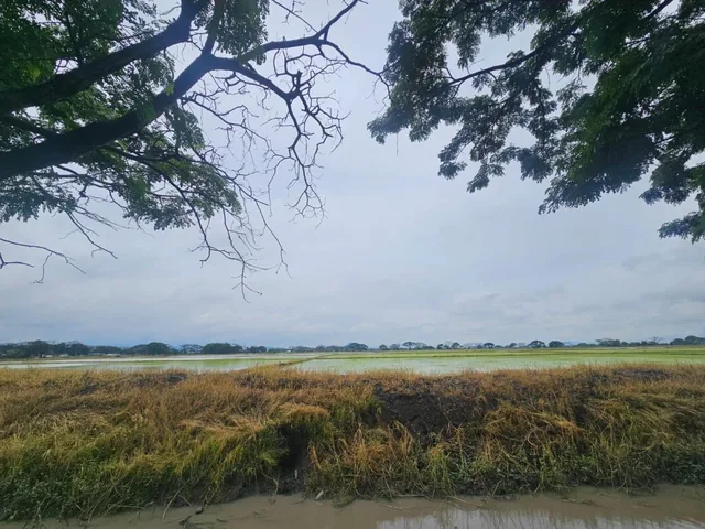 Terreno en Venta de 2.762,03 m² en Urb. El Cortijo - K. Lugo, Guayas — imagen 2