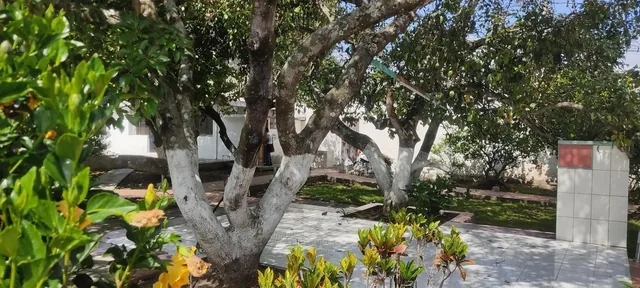 Casa y Terreno en Tumbaco en Venta - a 2 Minutos del Tia — imagen 4