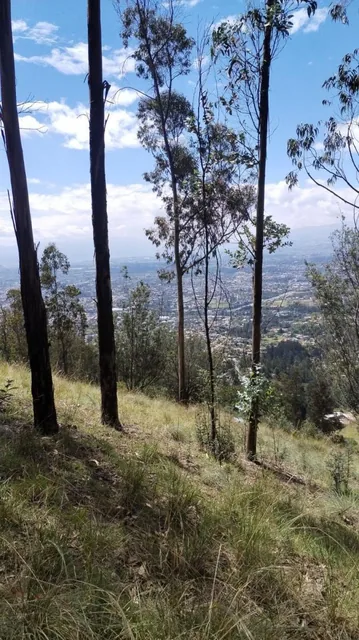 Vendo Terreno Comunal en Tumbaco - Sector El Cangahual — imagen 5