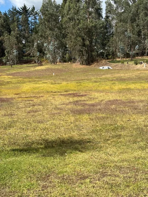 Lindoterreno Independiente Dentro de Conjunto. Provincia de Pichincha — imagen 5