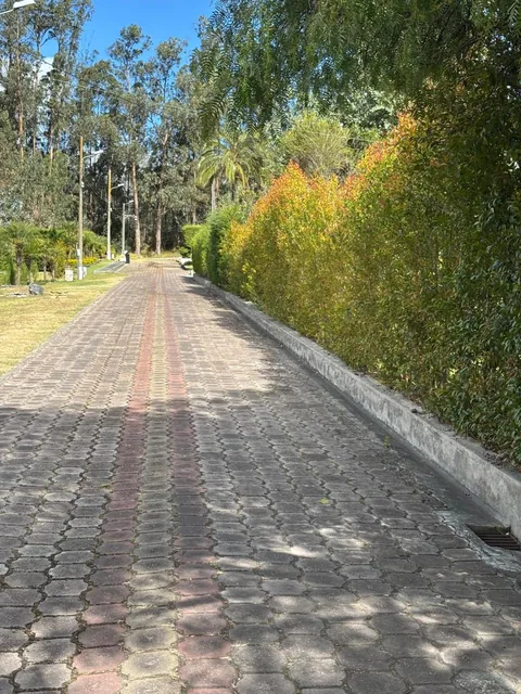Lindoterreno Independiente Dentro de Conjunto. Provincia de Pichincha — imagen 2