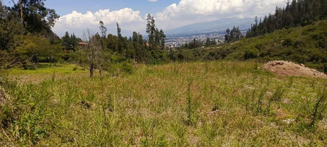 Terrenos de Venta Tumbaco Vista Espectacular — imagen 4