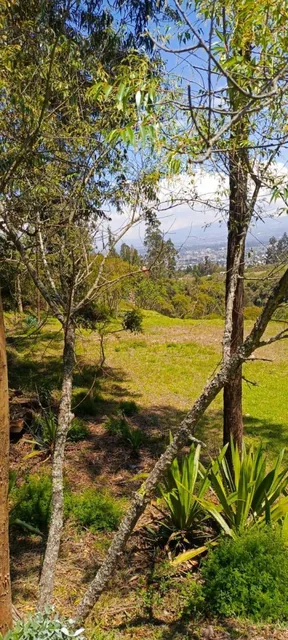 Terrenos de Venta Tumbaco Vista Espectacular — imagen 3