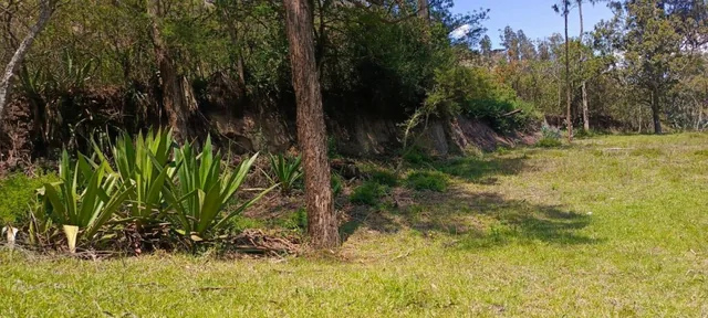 Terrenos de Venta Tumbaco Vista Espectacular — imagen 2