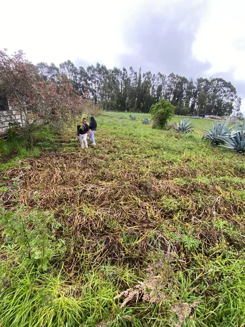 Terreno de Venta en Quero - Quiambe 935 m², Tungurahua — imagen 5