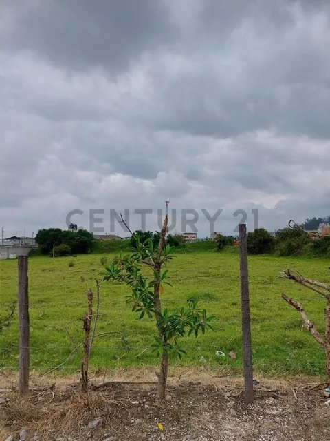Lindo Lote en Pifo Centro 1000 m² — imagen 2