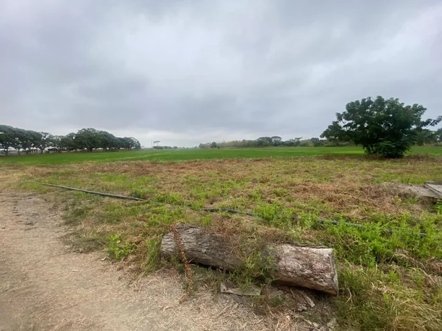 Vendo Hermosa Finca por Km. 17 Via a Naranjal, Guayas — imagen 4