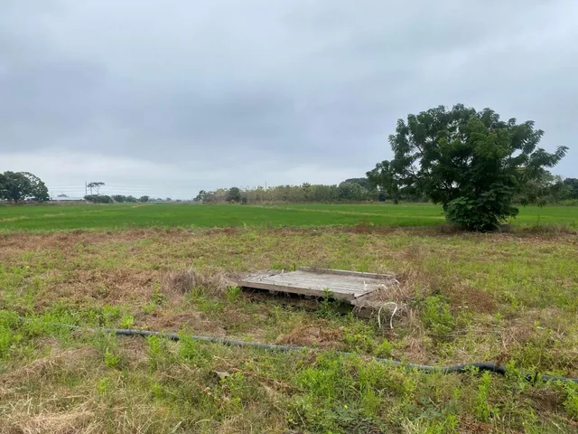 Vendo Hermosa Finca por Km. 17 Via a Naranjal, Guayas — imagen 3