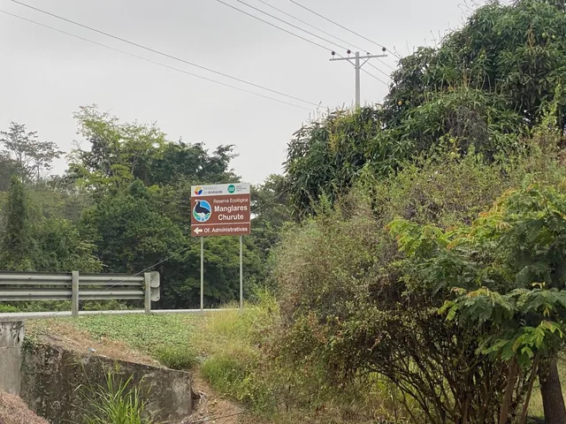 Vendo Hermosa Finca por Km. 17 Via a Naranjal, Guayas — imagen 2