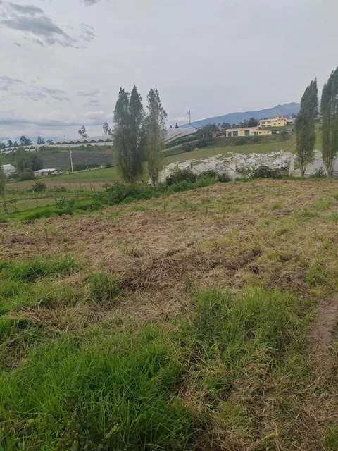 Vendo Lindo Terreno en Yaruqui Sector Chaupiestancia — imagen 5