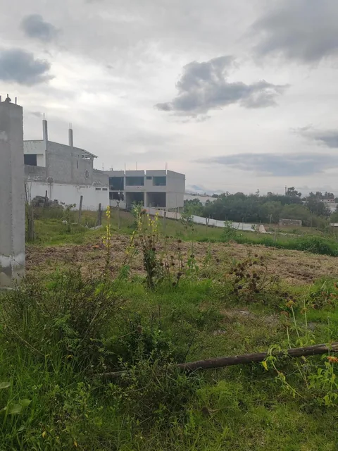 Vendo Lindo Terreno en Yaruqui Sector Chaupiestancia — imagen 3