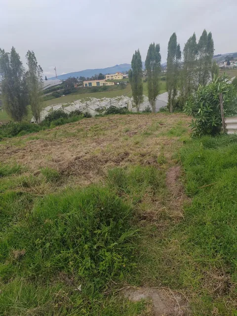 Vendo Lindo Terreno en Yaruqui Sector Chaupiestancia — imagen 2