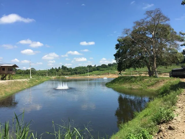 Oportunidad, Camaronera Funcionando de Venta Zona Rural de Chone, Manabí — imagen 5