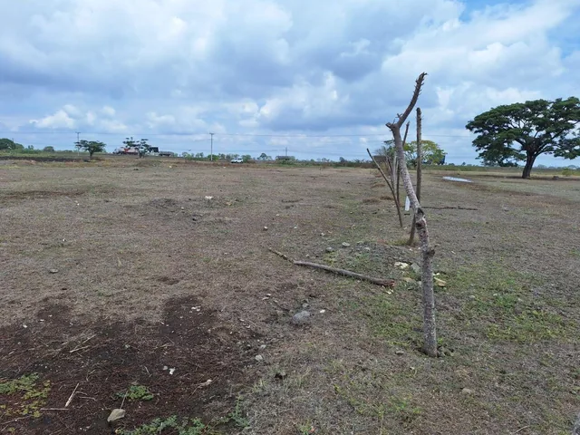 Oportunidad de Inversión Km 1.6 Vía Al Pan - K. Estrella, Guayas — imagen 5