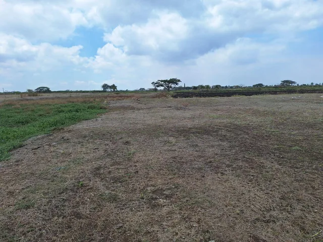 Oportunidad de Inversión Km 1.6 Vía Al Pan - K. Estrella, Guayas — imagen 3