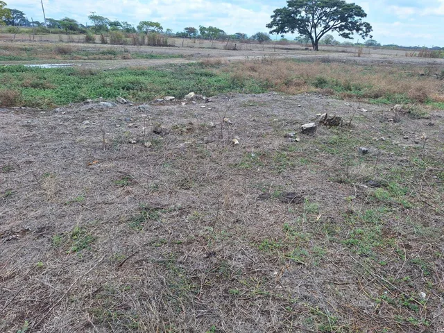Oportunidad de Inversión Km 1.6 Vía Al Pan - K. Estrella, Guayas — imagen 2