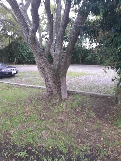 Vendo Dos Hermosos Lotes de Terreno Tumbaco Hilacril El Arenal — imagen 5