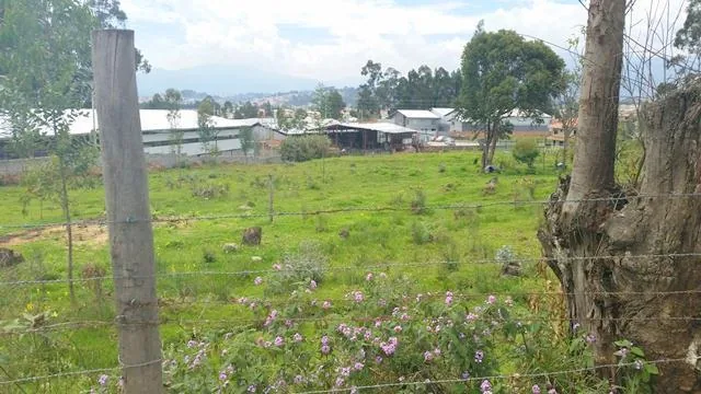 Terreno en Venta 5.724 m² Sector Industrial o Residencial de Ricaurte Cuenca, Azuay — imagen 3