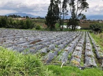Terrenos de Venta Quito Yaruqui Para Industria de Mediano Impacto — imagen 4