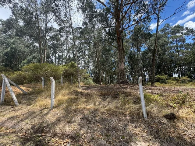 Terreno de Venta en Urbanzación Panorama en Pifo — imagen 2