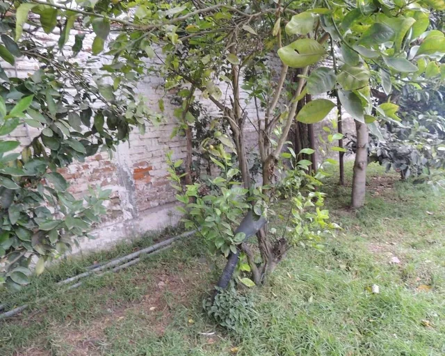 Vendo Hermosa Casa con Piscina Sector Calderon — imagen 5