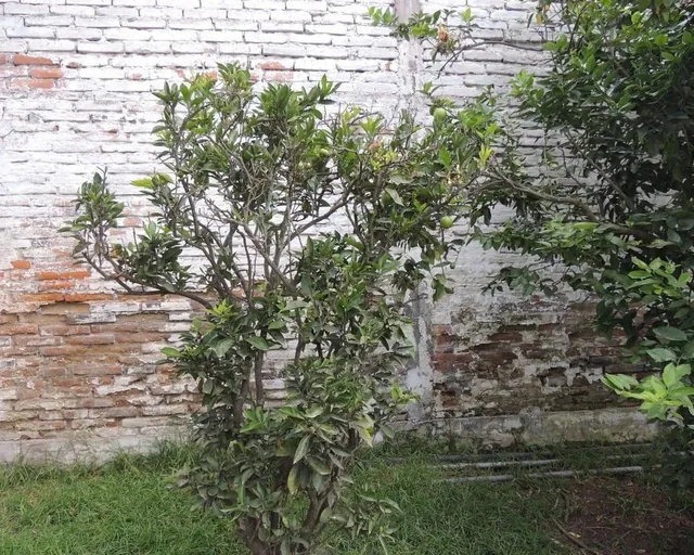 Vendo Hermosa Casa con Piscina Sector Calderon — imagen 3