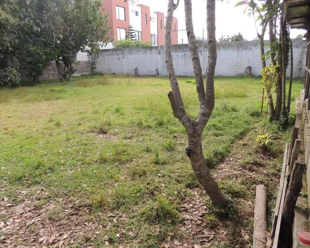 Vendo Hermosa Casa con Piscina Sector Calderon — imagen 2