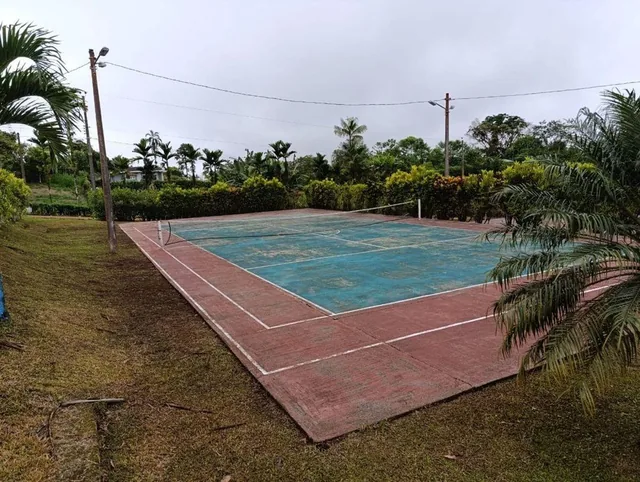 Terreno en Venta en Urbanización, Pedro Vicente m — imagen 5