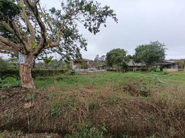 Terreno en Venta en Urbanización, Pedro Vicente m — imagen 3