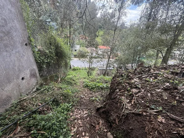 Tersse Vende Amplio Terreno de 650 m² - Estratégicamente Ubicado en La Av Ilalóreno — imagen 5