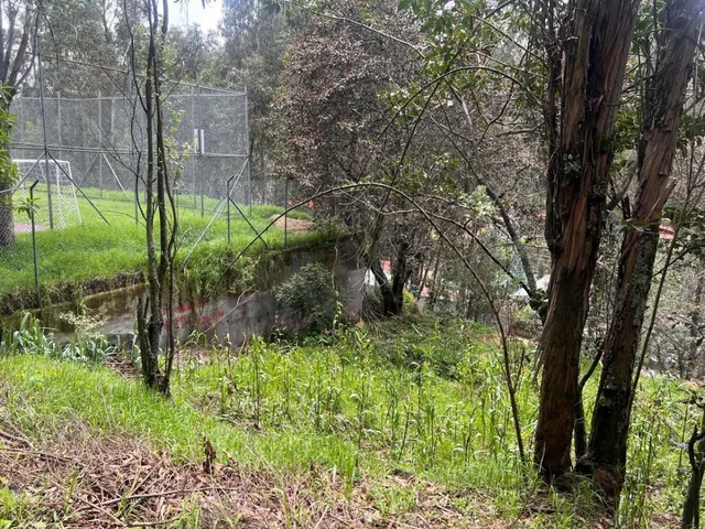 Tersse Vende Amplio Terreno de 650 m² - Estratégicamente Ubicado en La Av Ilalóreno — imagen 3
