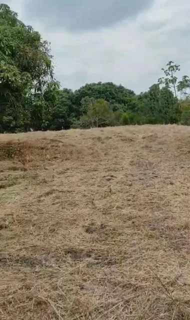 Vendo Propiedad en Pedro Carbo, Sector Sabanilla, Ideal Para Tu Finca de Descanso o Retiro, Guayas — imagen 5