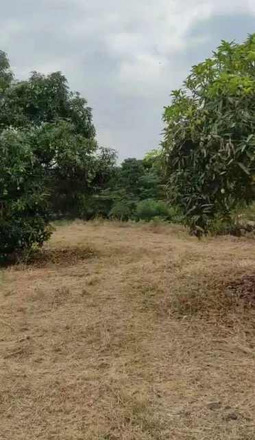 Vendo Propiedad en Pedro Carbo, Sector Sabanilla, Ideal Para Tu Finca de Descanso o Retiro, Guayas — imagen 4