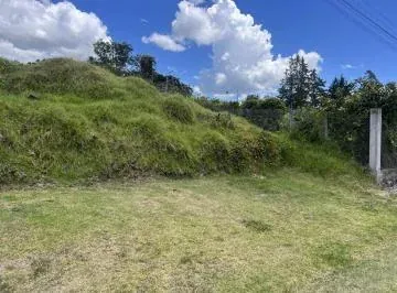 Venta Terreno Independiente Via Pifo — imagen 4