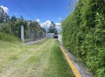 Venta Terreno Independiente Via Pifo — imagen 2