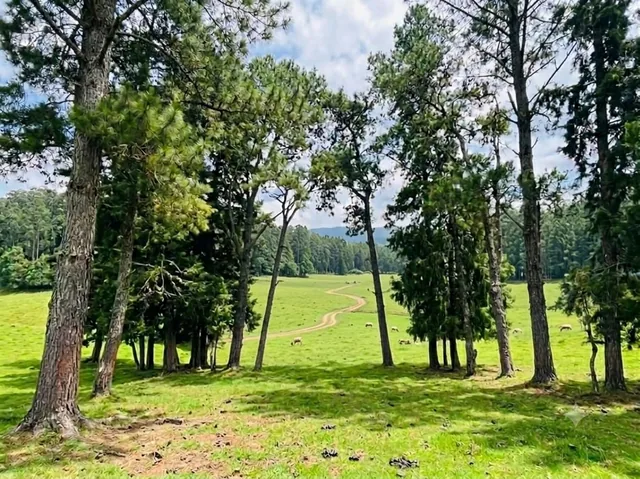 Terreno en Venta en Amaguaña, Quito de 8ha — imagen 5