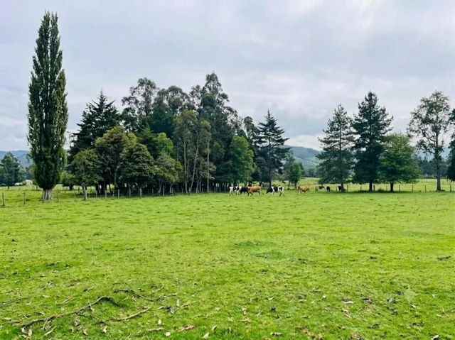 Terreno en Venta en Amaguaña, Quito de 8ha — imagen 3