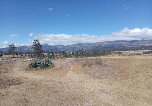 Terreno de 1000 m² en Venta en La Merced — imagen 3